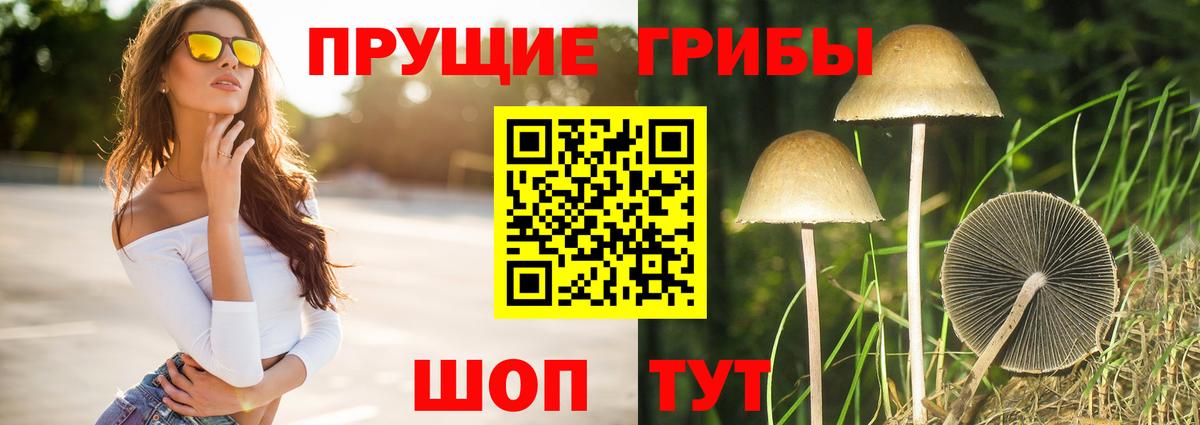 Северобайкальск  Псилоцибиновые грибы мицелий  Вход с VPN 